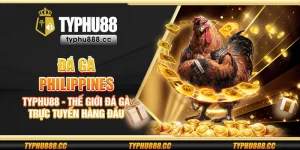Đá gà Philippines Typhu88 - Thế giới đá gà trực tuyến hàng đầu