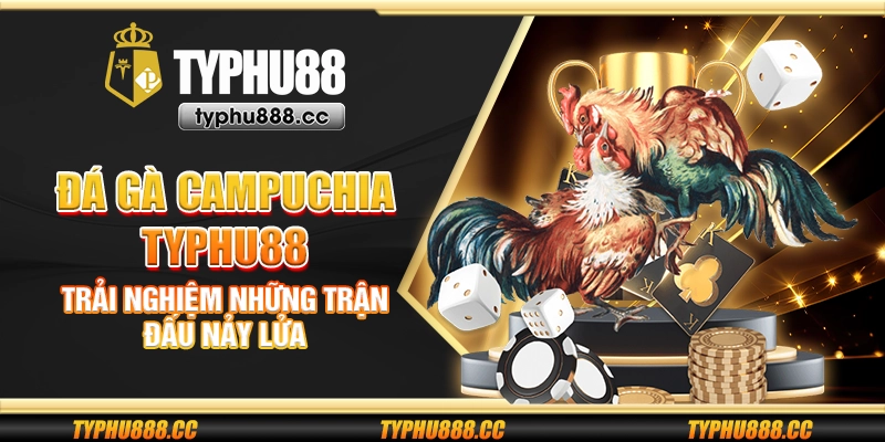 Đá gà Campuchia Typhu88 - Trải nghiệm những trận đấu nảy lửa