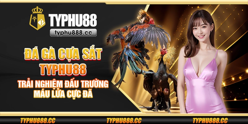 Đá gà cựa sắt Typhu88 - Trải nghiệm đấu trường máu lửa cực đã
