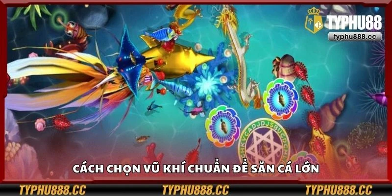 Cách chọn vũ khí chuẩn để săn cá lớn