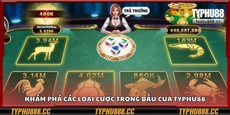 Khám phá các loại cược trong bầu cua Typhu88