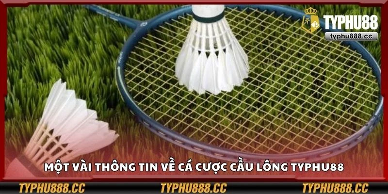 Một vài thông tin về cá cược cầu lông Typhu88
