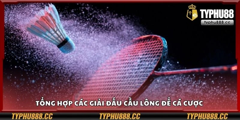 Tổng hợp các giải đấu cầu lông để cá cược