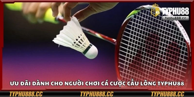 Ưu đãi dành cho người chơi cá cược cầu lông Typhu88