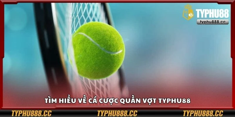 Tìm hiểu về cá cược quần vợt Typhu88