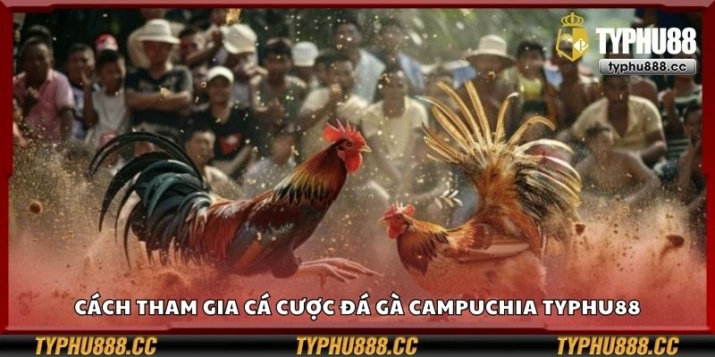 Cách tham gia cá cược đá gà Campuchia Typhu88