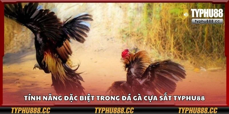 Tính năng đặc biệt trong đá gà cựa sắt Typhu88