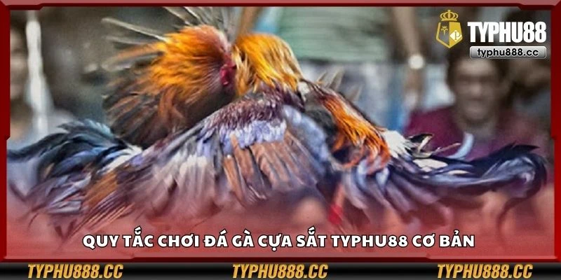 Quy tắc chơi đá gà cựa sắt Typhu88 cơ bản