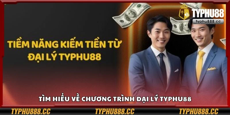 Tìm hiểu về chương trình đại lý Typhu88