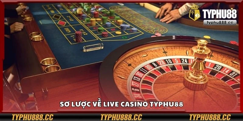 Sơ lược về live casino Typhu88