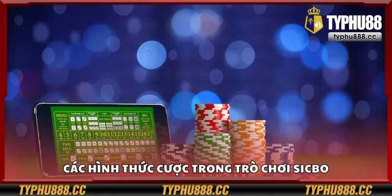 Các tùy chọn cược trong trò chơi Sicbo