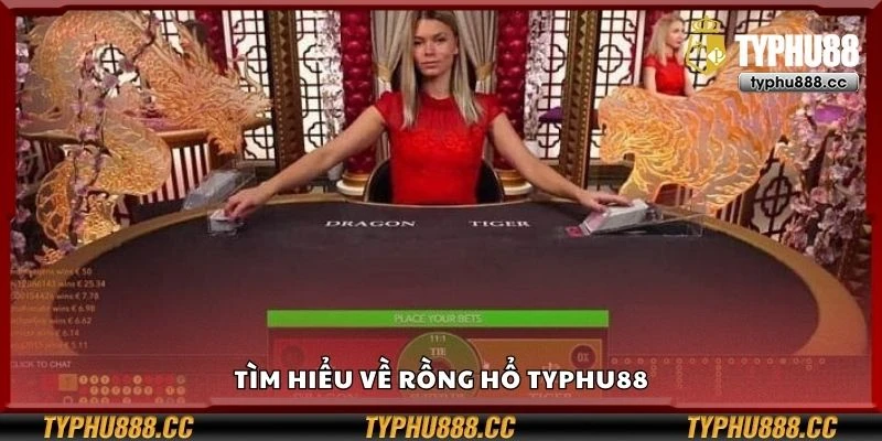 Tìm hiểu về rồng hổ Typhu88