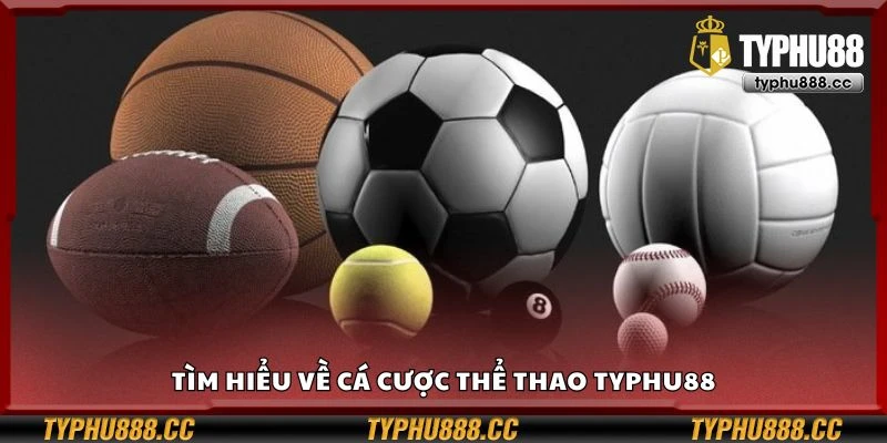 Tìm hiểu về cá cược thể thao Typhu88